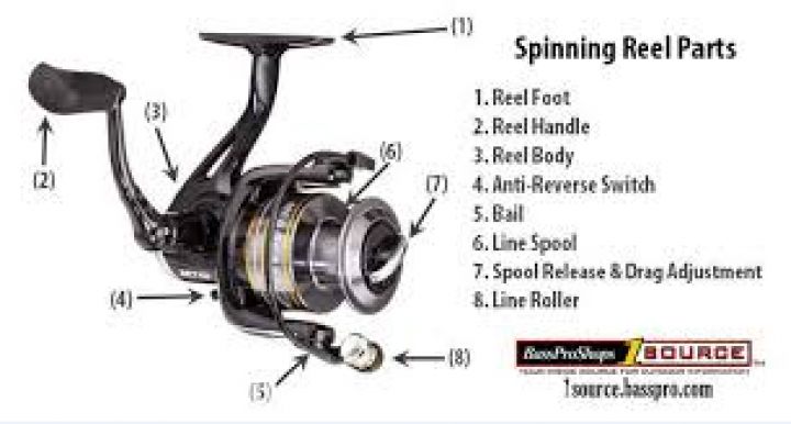 Reel  Fishing Spinning